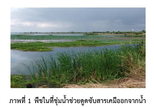 สาระน่ารู้ 