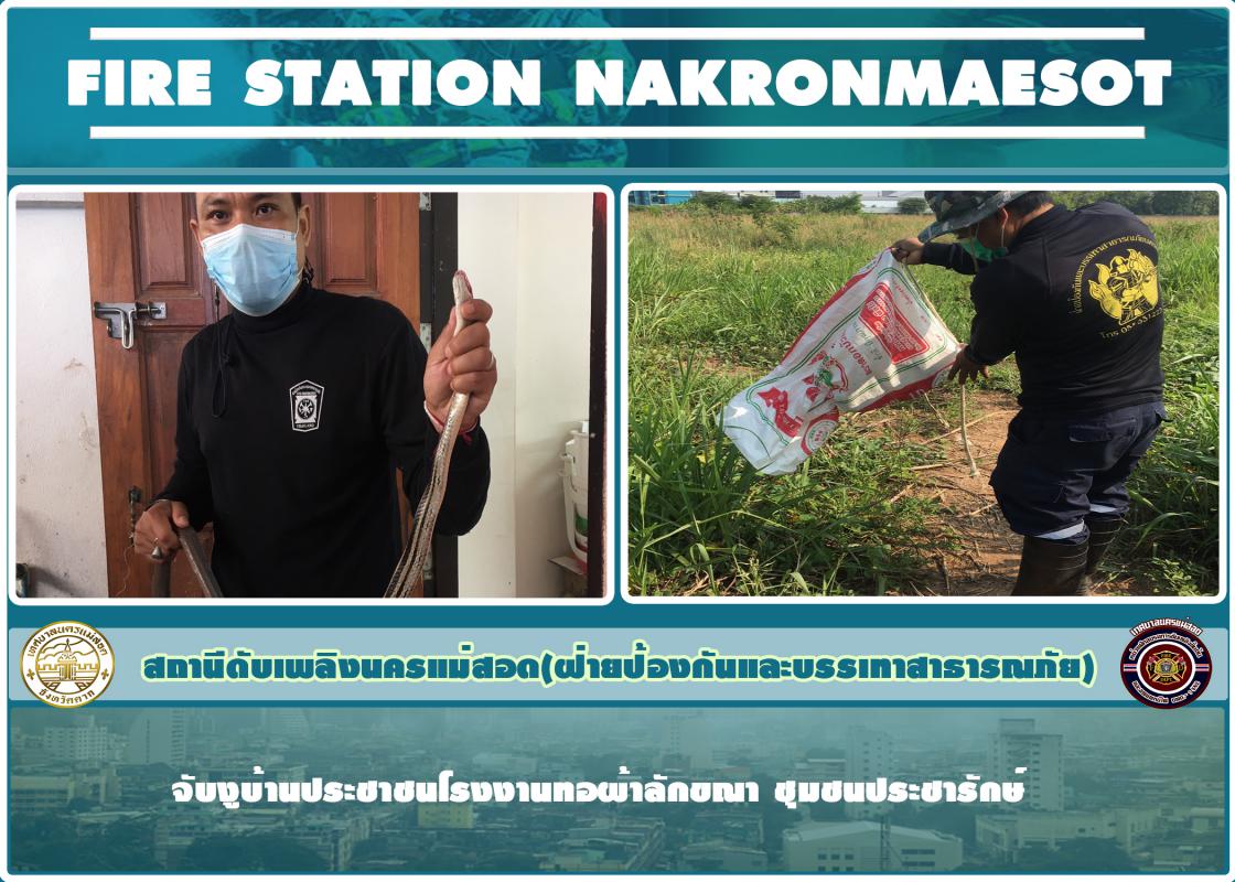 ข่าวดับเพลิงนครเเม่สอด