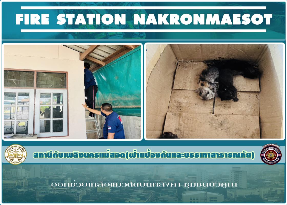 ข่าวดับเพลิงนครเเม่สอด