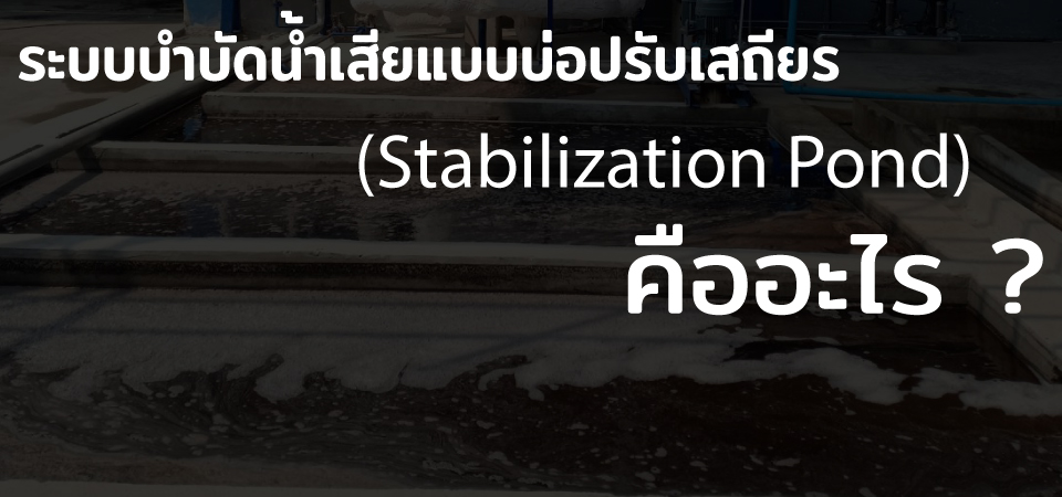 สาระน่ารู้ 