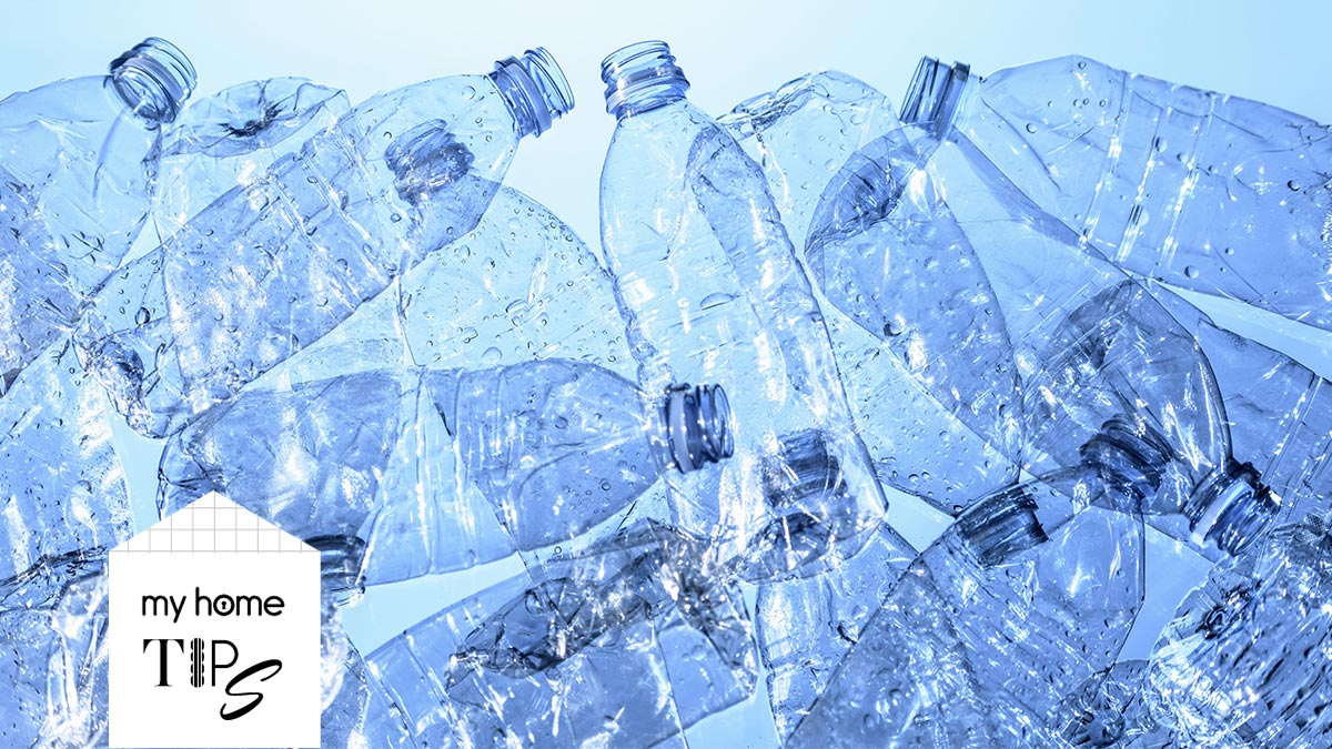 สาระน่ารู้ 