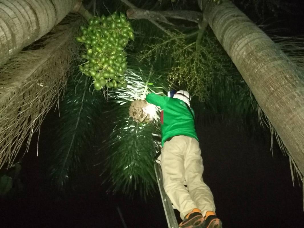 ข่าวดับเพลิงนครเเม่สอด