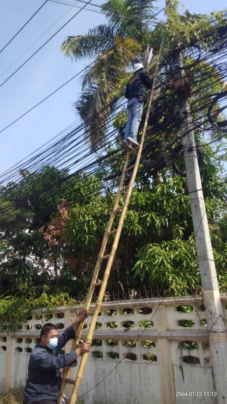 ข่าว/กิจกรรม