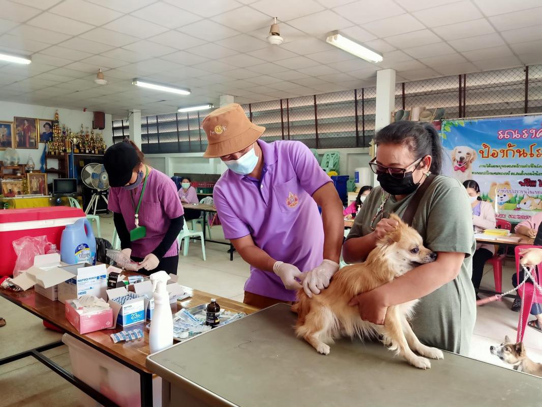 ข่าวกิจกรรม