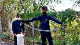 ดับเพลิงนครแม่สอด ออกจับงูเข้าบ้านประชาชน หมู่บ้านมารวย 