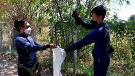 ดับเพลิงนครแม่สอด ออกจับงูเข้าบ้านประชาชน หมู่บ้านมารวย 