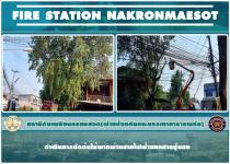 ดับเพลิงนครแม่สอด ออกดำเนินการตัดต้นไม้พาดผ่านสายไฟฟ้า บริเวณสามแยกศาลปู่แดง