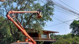 ดับเพลิงนครแม่สอด ออกดำเนินการตัดต้นไม้พาดผ่านสายไฟฟ้า บริเวณสามแยกศาลปู่แดง