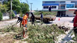 ดับเพลิงนครแม่สอด ออกดำเนินการตัดต้นไม้พาดผ่านสายไฟฟ้า บริเวณสามแยกศาลปู่แดง