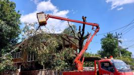 ดับเพลิงนครแม่สอด ออกดำเนินการตัดต้นไม้พาดผ่านสายไฟฟ้า บริเวณสามแยกศาลปู่แดง