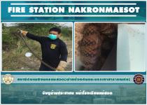 ดับเพลิงนครแม่สอด ออกจับงูเข้าบ้านประชาชน หน้าโรงเรียนแม่สอด
