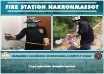 ดับเพลิงนครแม่สอด ออกจับงูเข้าบ้านประชาชนซอยคูโบต้าแม่สอด