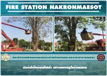ดับเพลิงนครแม่สอด ตัดต้นไม้ใกล้สายไฟฟ้า บริเวณซอยคูโบต้าแม่สอด