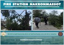 ดับเพลิงนครแม่สอด ออกตัดต้นไม้ล้มขวงางถนนข้างวัดสักทอง