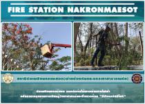 ดับเพลิงนครแม่สอด ออกตัดต้นไม้พาดผ่านสายไฟฟ้าหลังอาคารอุทยานการเรียนรู้วิทยาศาสตร์และสิ่งแวดล้อม "ทีปังกรรัศมีโชติ"