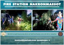 ดับเพลิงนครแม่สอด ออกตัดต้นไม้ล้มบ้านประชาชน ชุมชนสองแคว 2