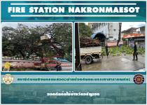 ดับเพลิงนครแม่สอด ออกตัดต้นไม้วัดอรัญเขตแม่สอด