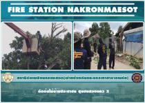 ดับเพลิงนครแม่สอด ออกตัดต้นไม้บ้านประชาชน ชุมชนสองแคว 2