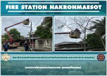 ดับเพลิงแม่สอด ออกตัดต้นไม้แห้งหน้าบ้านประชาชน ชุมชนมณีไพรสณฑ์