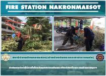 ดับเพลิงนครแม่สอด ออกตัดต้นไม้ภายในโรงเรียนเทศบาลเฉลิมพระเกียรติสมเด็จพระเทพรัตนราชสุดาฯ