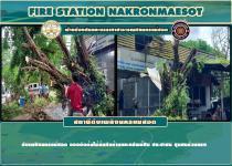 ดับเพลิงนครแม่สอด ออกตัดต้นไม้ล้มทับหลังคาบ้านประชาชน ชุมชนร่วมแรง