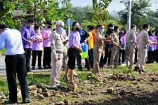 เทศบาลนครแม่สอดจัดกิจกรรมหว่านเมล็ดพันธุ์ถั่วบราซิล 