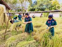 โรงเรียนเทศบาลวัดดอนแก้ว จัดกิจกรรมเก็บเกี่ยวและบริหารจัดการข้าวนาอินทรีย์ ระดับมัธยมศึกษาปีที่ 1-3  ประจำปีการศึกษา 2565
