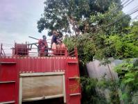 ดับเพลิงนครแม่สอด ออกตัดต้นไม้ล้มทับบ้านเรือนประชาชน ชุมชนบัวคูณ