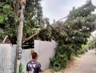 ดับเพลิงนครแม่สอด ออกตัดต้นไม้ล้มทับบ้านเรือนประชาชน ชุมชนบัวคูณ