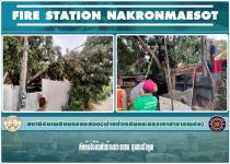 ดับเพลิงนครแม่สอด ออกตัดต้นไม้ล้มทับบ้านเรือนประชาชน ชุมชนบัวคูณ