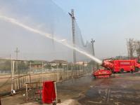 พ่นหมอกควัน จุดถนนหน้าศาลสมเด็จพระนเรศวรมหาราช