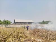 ดับเพลิงนครแม่สอด ออกระงับเหตุเพลิงไหม้หญ้า ใกล้สี่แยกไฟแดง ถนนแม่สอด - แม่ตาว