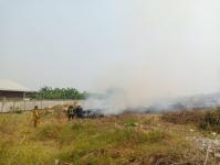 ดับเพลิงนครแม่สอด ออกระงับเหตุเพลิงไหม้หญ้า ใกล้สี่แยกไฟแดง ถนนแม่สอด - แม่ตาว