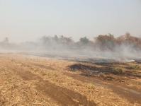 ดับเพลิงนครแม่สอด ออกสนับสนุน อบต.แม่ปะ ระงับเหตุเพลิงไหม้ไร่อ้อย ใกล้หมู่บ้านห้วยกะโหลก