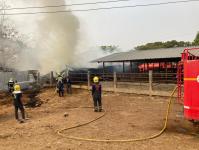 ดับเพลิงนครแม่สอด ออกระงับเหตุเพลิงไหม้คอกคัว ในตลาดวัว แม่ปะ