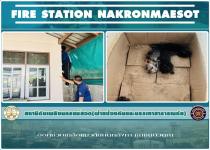 ดับเพลิงนครแม่สอด ออกช่วยเหลือแมวติดบนหลังคา ชุมชนบัวคูณ