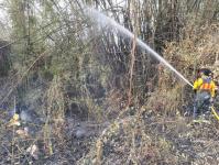 ดับเพลิงนครแม่สอด ออกระงับเหตุเพลิงไหม้พื้นที่รกร้าง ทางไปพระธาตุดอยหินกิ่ว