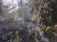 ดับเพลิงนครแม่สอด ออกระงับเหตุเพลิงไหม้พื้นที่รกร้าง ทางไปพระธาตุดอยหินกิ่ว