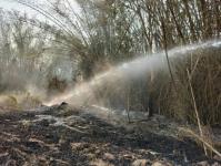 ดับเพลิงนครแม่สอด ออกระงับเหตุเพลิงไหม้พื้นที่รกร้าง ทางไปพระธาตุดอยหินกิ่ว