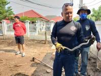 ดับเพลิงนครแม่สอด ออกจับงูเข้าบ้านประชาชน ซอย 11 หมู่บ้านแม่สอดวิลล่า