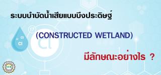 ระบบบำบัดน้ำเสียแบบบึงประดิษฐ์ (CONSTRUCTED WETLAND)