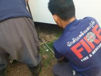 ดับเพลิงนครแม่สอด ออกจับงูเข้าบ้านประชาชน ในหมู่บ้านกาสะลอง