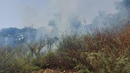 ดับเพลิงนครแม่สอด ออกระงับเหตุเพลิงไหม้ป่ารกร้างใกล้บ้านประชาชน ชุมชนสองแคว 2