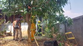 ดับเพลิงนครแม่สอด ออกระงับเหตุเพลิงไหม้ป่ารกร้างใกล้บ้านประชาชน ชุมชนสองแคว 2