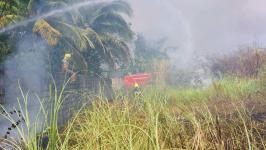 ดับเพลิงนครแม่สอด ออกระงับเหตุเพลิงไหม้ป่ารกร้างใกล้บ้านประชาชน ชุมชนสองแคว 2