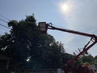 ดับเพลิงนครแม่สอด ออกตัดต้นไม้ใกล้สายไฟหน้าบ้านประชาชน ซอยน้ำดื่มเจอาร์