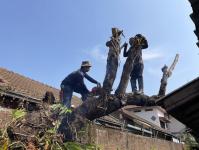 ดับเพลิงนครแม่สอด ออกตัดต้นไม้ใกล้สายไฟหน้าบ้านประชาชน ซอยน้ำดื่มเจอาร์