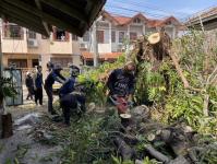 ดับเพลิงนครแม่สอด ออกตัดต้นไม้ใกล้สายไฟหน้าบ้านประชาชน ซอยน้ำดื่มเจอาร์