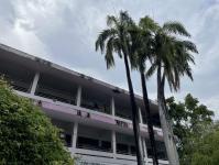 ดับเพลิงนครแม่สอด ออกกำจัดรังผึ้งโรงเรียนเทศบาลวัดชุมพลคีรี