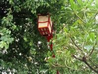 ดับเพลิงนครแม่สอด ออกตัดกิ่งไม้พาดผ่านสายไฟฟ้า บริเวณศูนย์การแสดงสินค้า OTOP